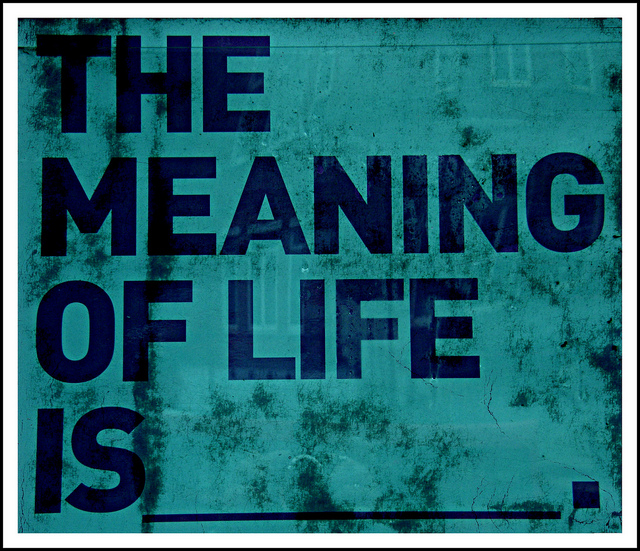 meaning-of-life1[1]